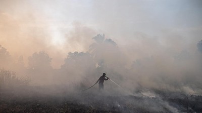 4.082,8 Hektare Lahan di Sumatera Selatan Terbakar