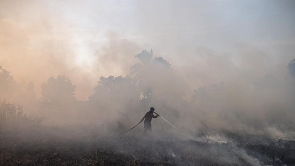4.082,8 Hektare Lahan di Sumatera Selatan Terbakar