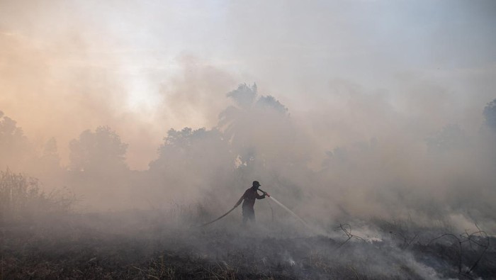 Petugas dari BPBD Kabupaten Ogan Ilir (OI) menunjukkan ular yang terbakar akibat kebakaran lahan di Desa Ibul I, Kecamatan Pemulutan, Kabupaten Ogan Ilir (OI), Sumatera Selatan, Selasa (12/9/2023). Berdasarkan data dari KLHK, luasan lahan yang terbakar di Sumatera Selatan periode Januari-Agustus 2023 seluas 4.082,8 hektare. ANTARA FOTO/Nova Wahyudi/hp.