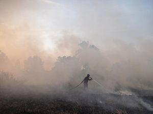 4.082,8 Hektare Lahan di Sumatera Selatan Terbakar