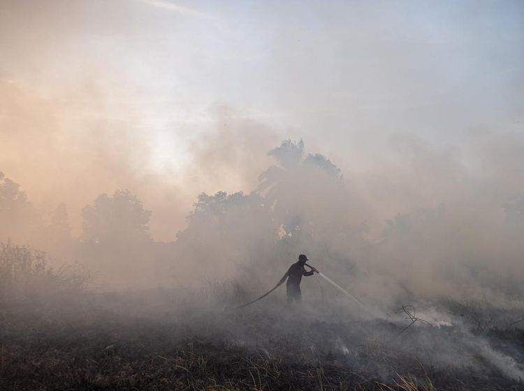 4.082,8 Hektare Lahan di Sumatera Selatan Terbakar