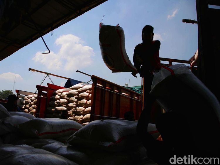 Melihat Proses Bongkar Muat Beras yang Harganya Lagi Meroket
