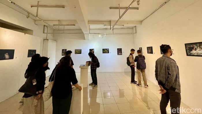 Pameran foto 