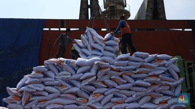 Petugas melakukan bongkar muat beras impor dari kapal Thai Binh12 asal Vietnam di Pelabuhan Tanjung Priok, Jakarta, Rabu (13/9/2023). Perum Bulog mendatangkan 40 ribu ton beras yang akan dikirim ke gudang kawasan DKI Jakarta dan Banten. (CNBC Indonesia/Tri Susilo)