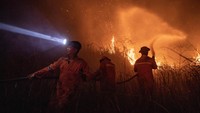Petugas dari BPBD Provinsi Sumatera Selatan berusaha memadamkan kebakaran lahan di Desa Sungai Rambutan. 