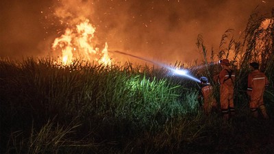 Potret Perjuangan Damkar Padamkan Kebakaran Lahan di Ogan Ilir