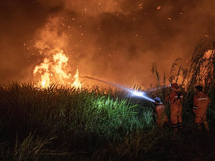 Potret Perjuangan Damkar Padamkan Kebakaran Lahan di Ogan Ilir