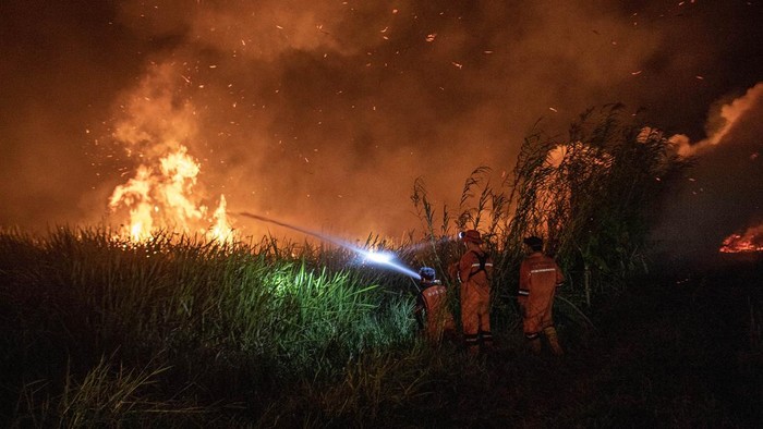 Potret Perjuangan Damkar Padamkan Kebakaran Lahan di Ogan Ilir Petugas dari BPBD Provinsi Sumatera Selatan berusaha memadamkan kebakaran lahan di Desa Sungai Rambutan, Kecamatan Indralaya Utara, Kabupaten Ogan Ilir (OI), Sumatera Selatan, Selasa (12/9/2023). Petugas masih berupaya memadamkan kebakaran lahan yang terjadi sejak Selasa (12/9) siang tersebut. ANTARA FOTO/Nova Wahyudi/nym.