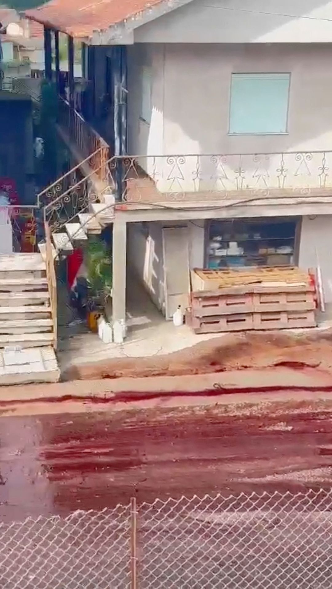 A river of red wine runs through a street in Anadia, Portugal, September 10, 2023 in this still image from video obtained from social media. Instagram @pitstore223/via REUTERS  THIS IMAGE HAS BEEN SUPPLIED BY A THIRD PARTY. MANDATORY CREDIT. NO RESALES. NO ARCHIVES.