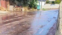 Pemandangan tak biasa terjadi di jalanan di kota Sao Lourenco do Bairro di Portugal, setelah dua tangki milik sebuah kilang wine atau anggur meledak. Sekitar 2,2 juta liter anggur merah pun tumpah memenuhi kota kecil tersebut. Instagram @pitstore223/via REUTERS  
