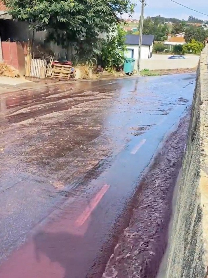 A river of red wine runs through a street in Anadia, Portugal, September 10, 2023 in this still image from video obtained from social media. Instagram @pitstore223/via REUTERS  THIS IMAGE HAS BEEN SUPPLIED BY A THIRD PARTY. MANDATORY CREDIT. NO RESALES. NO ARCHIVES.