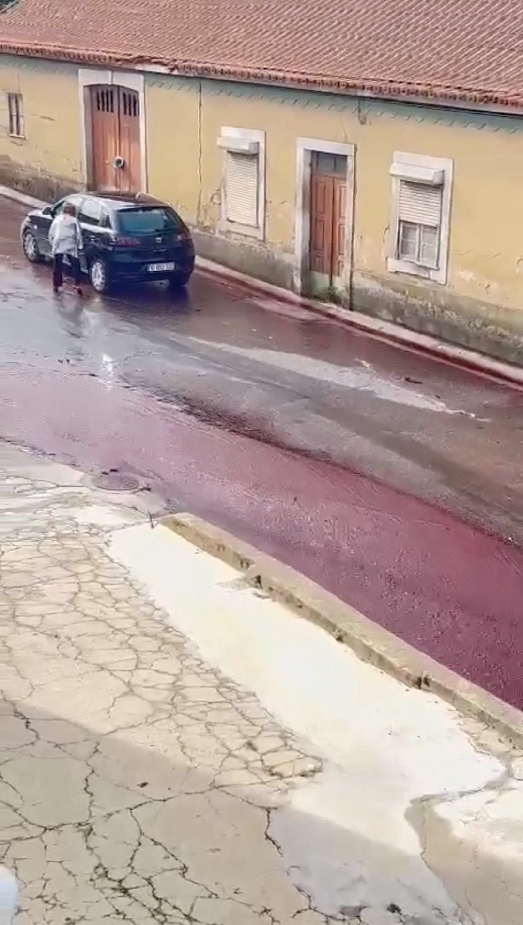 A river of red wine runs through a street in Anadia, Portugal, September 10, 2023 in this still image from video obtained from social media. Instagram @pitstore223/via REUTERS  THIS IMAGE HAS BEEN SUPPLIED BY A THIRD PARTY. MANDATORY CREDIT. NO RESALES. NO ARCHIVES.