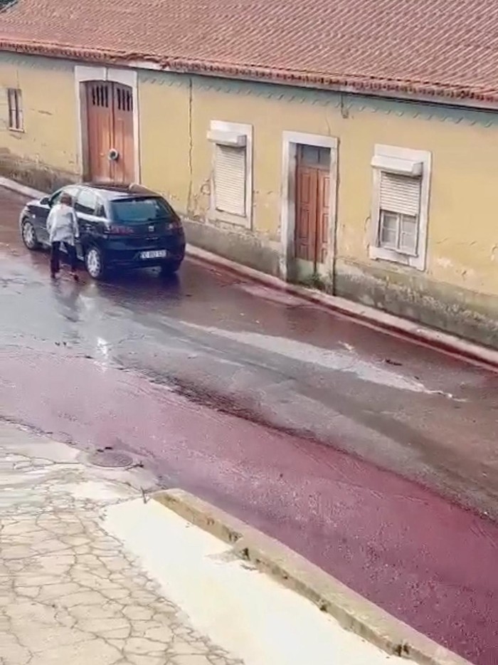 Viral Banjir Amer di Portugal Gegara Tangki Penyulingan Jebol A river of red wine runs through a street in Anadia, Portugal, September 10, 2023 in this still image from video obtained from social media. Instagram @pitstore223/via REUTERS THIS IMAGE HAS BEEN SUPPLIED BY A THIRD PARTY. MANDATORY CREDIT. NO RESALES. NO ARCHIVES.