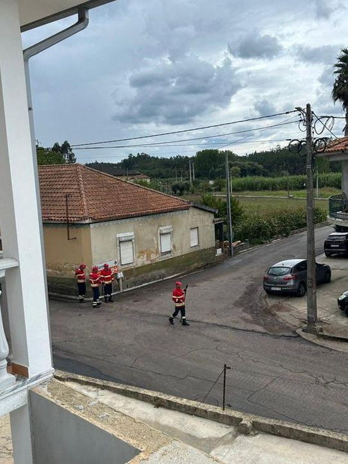 A river of red wine runs through a street in Anadia, Portugal, September 10, 2023 in this still image from video obtained from social media. Instagram @pitstore223/via REUTERS  THIS IMAGE HAS BEEN SUPPLIED BY A THIRD PARTY. MANDATORY CREDIT. NO RESALES. NO ARCHIVES.