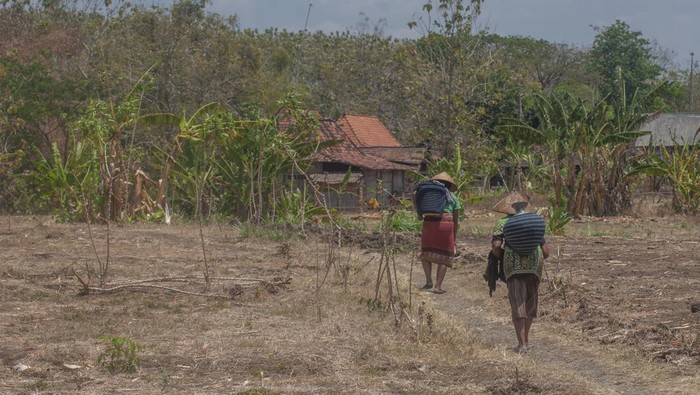 Warga membawa kendi berisi air yang diambil dari lubang di dasar sungai, Dukuh Kalitlawah, Ngaren, Juwangi, Boyolali, Jawa Tengah, Rabu (13/9/2023). Warga setempat memanfaatkan sisa air pada dasar sungai saat musim kemarau untuk digunakan mencuci dan mandi, sedangkan untuk kebutuhan minum dan memasak warga menggunakan sisa air sumur, membeli air atau dengan bantuan distribusi air bersih. ANTARA FOTO/Aloysius Jarot Nugroho/rwa.