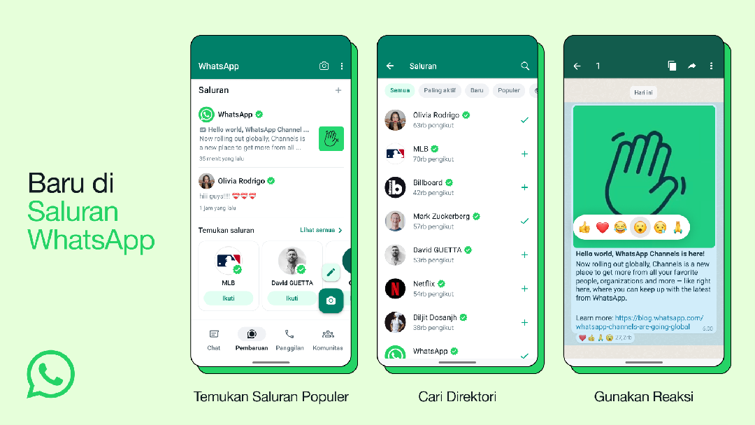 WhatsApp Channel