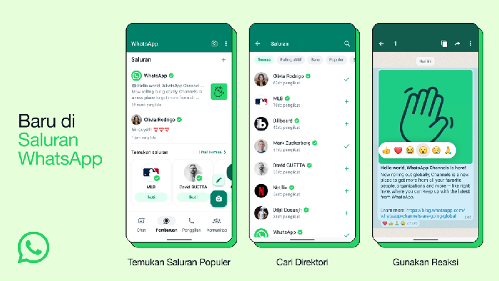 WhatsApp Channel