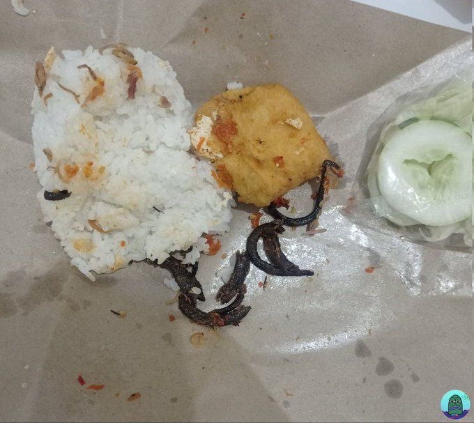 Zonk! Beli Nasi Sambal Belut yang Datang Mirip Sambal Cacing