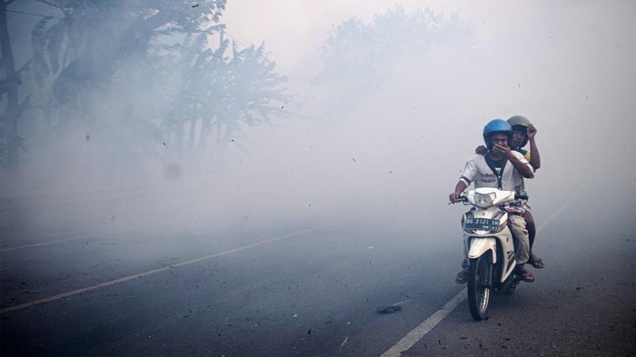 Petugas Manggala Agni Daops Banyuasin menolong pengendara roda dua yang mengalami kecelakaan akibat kabut asap di Jalan Lintas Palembang-Indralaya di Desa Sungai Rambutan, Indralaya Utara, Ogan Ilir (OI), Sumatera Selatan, Rabu (13/9/2023). Kabut asap dari kebakaran lahan yang terjadi di daerah tersebut mengganggu pengendara yang melintas di Jalan Lintas Palembang-Indralaya.  ANTARA FOTO/Nova Wahyudi/rwa.