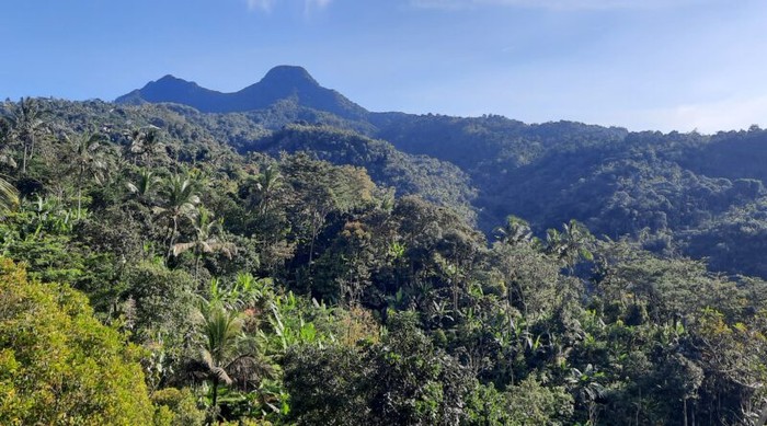 Berkunjung ke Desa Wisata Japan merupakan sebuah pengalaman yang berbeda. Terletak di Desa Japan, Kecamatan Dawe, Kabupaten Kudus, Propinsi Jawa Tengah, Desa Wisata Japan masuk dalam zona Muria.
