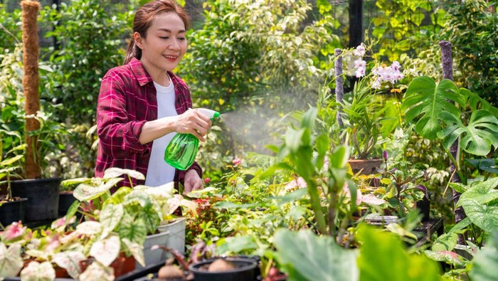 Ilustrasi Berkebun