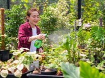 Kalender Jawa Selasa Kliwon 28 Mei 2024: Hari Baik untuk Memanen