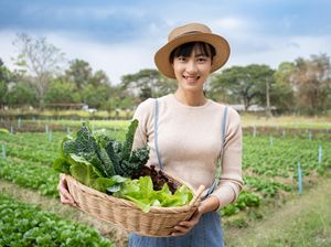 10 Menu Makan Siang yang Cocok untuk Diet dan Menghilangkan Perut Buncit