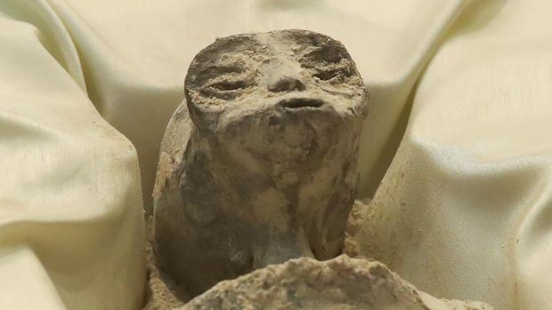 Jasad makhluk 'bukan manusia' yang diduga alien diperlihatkan saat sidang kongres di Mexico City, Selasa (12/9/2023) waktu setempat. (REUTERS/Henry Romero)