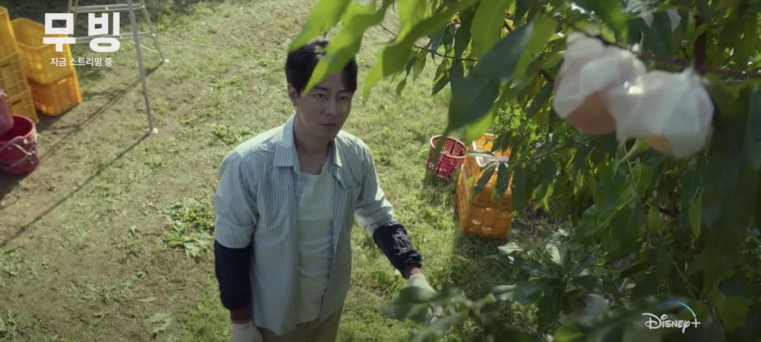 Jo In Sung Jo In Sung