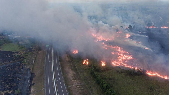 Kebakaran lahan di samping tol Palembang-Indralaya Foto udara api membakar lahan di sisi gerbang tol Rambutan Jalan Tol Trans Sumatera (JTTS) ruas Palembang-Indralaya di Desa Sungai Rambutan, Indralaya Utara, Ogan Ilir (OI), Sumatera Selatan, Kamis (14/9/2023). Derasnya angin di lokasi kebakaran lahan tersebut membuat petugas terkait kewalahan untuk memadamkan kebakaran. ANTARA FOTO/Nova Wahyudi/aww.