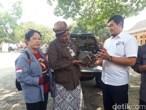 Mak Bedunduk! Trenggiling Nyelonong Masuk Rumah Warga Boyolali