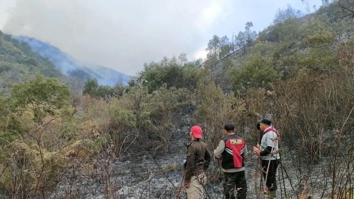 Kondisi kebakaran di Bromo