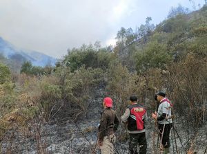 TNBTS Sebut Kebakaran Bromo Masih Menyisakan Satu Titik Api