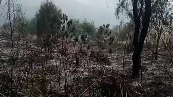 Lereng Arjuno terbakar