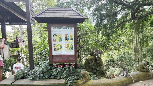 Wisatawan saat berlibur melihat kawanan monyet di monkey forest, Ubud, Gianyar, Bali, Kamis (14/9/2023).