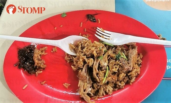 Sudah Hampir Habis Dimakan Pembeli Ini Temukan Kecoak dalam Nasi Bebeknya