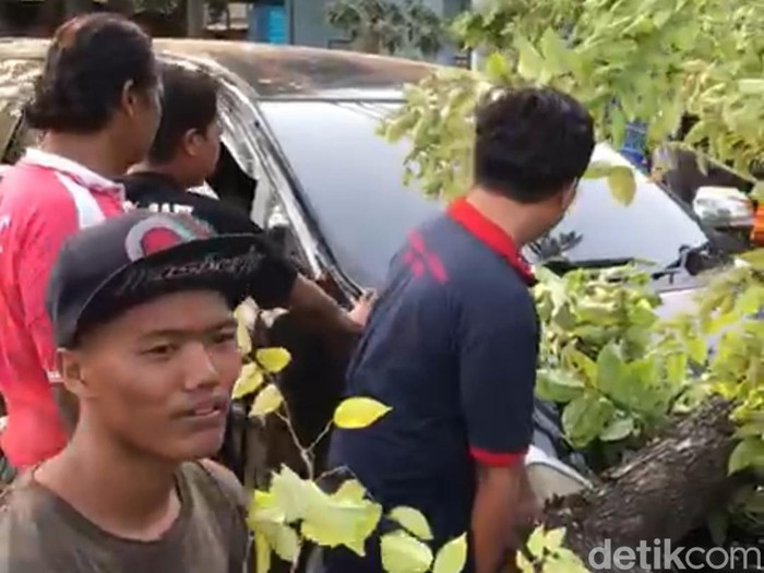 pohon tumbang di sidoarjo
