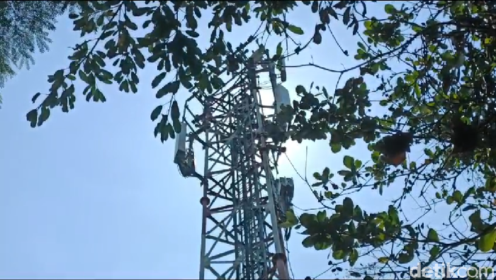 Pria ODGJ (kaos lengan hijau) tiba-tiba naik ke atas tower setinggi 50 meter di Semarang, Kamis (14/9/2023).