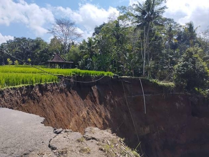 Jalan ambles menimbulkan lubang sangat besar hingga menggerus area persawahan di Tegallalang.