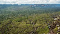 Taman terbesar di Amerika Selatan ditemukan di wilayah yang paling sedikit penduduknya di benua ini, yakni Amazon dan Patagonia. Juara bertahannya adalah Taman Nasional Chiribiquete di Kolombia tenggara (43.000 kilometer persegi (Foto: UNESCO)