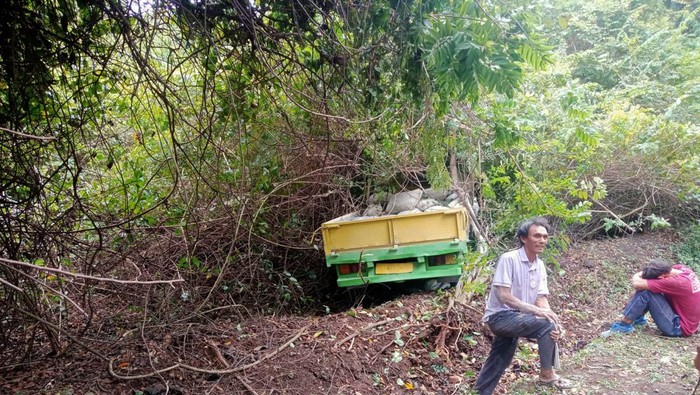 Kondisi truk bermuatan semen yang mengalami kecelakaan tunggal hingga terperosok ke hutan Cekik atau hutan TNBB di Jalan Nasional Denpasar-Gilimanuk, Kamis (14/9/2023).