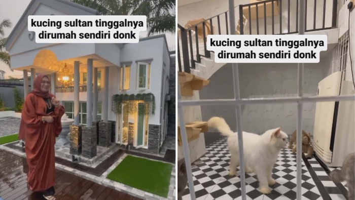 Viral wanita memperlihatkan rumah dua lantai kucing sultan dan ada AC.
