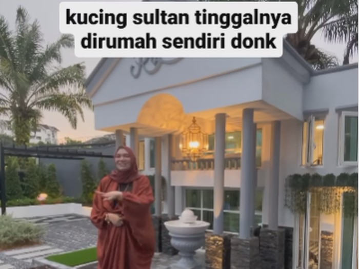 Viral wanita memperlihatkan rumah dua lantai kucing sultan dan ada AC.