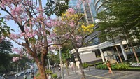 Suasana jalan Sudirman kini tampak seperti di Jepang.  