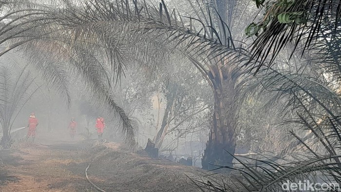Kebakaran lahan kepung pemukiman warga di Ogan Ilir