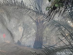 Karhutla Kepung Permukiman Warga di Ogan Ilir, 20 Hektare Lahan Terdampak