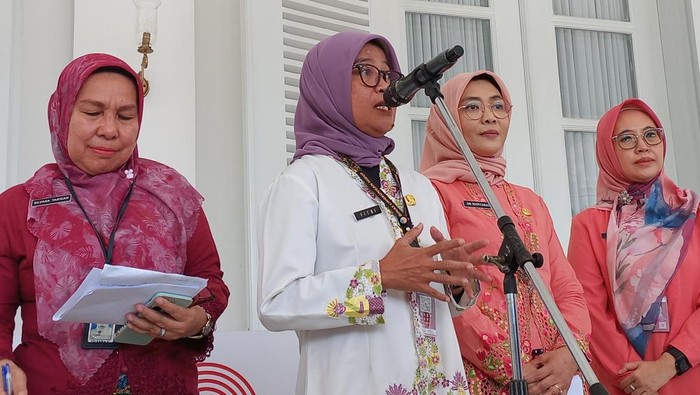 Kepala Bidang Pengendalian Pencemaran dan Kerusakan Lingkungan Dinas Lingkungan Hidup DKI Jakarta Erni Pelita Fitratunnisa (baju putih)-(Anggi/detikcom)