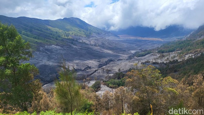 Penampakan savana Gunung Bromo usai kebakaran