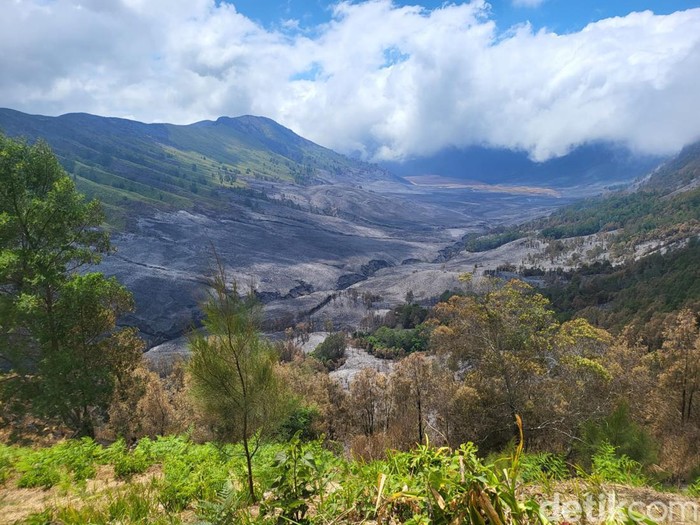 Penampakan savana Gunung Bromo usai kebakaran