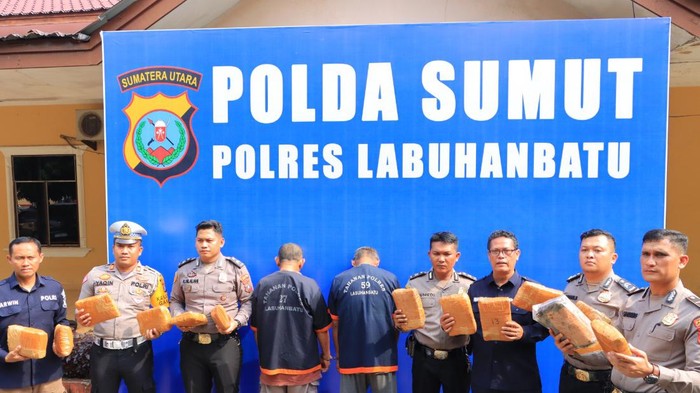 Porles Labuhanbatu mengamankan ganja seberat 12,6 kilogram. (Foto: Dok. Polres Labuhanbatu).